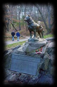 Statue of Balto in Central Park