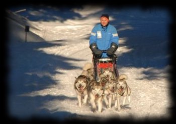 Schlittenhunderennen