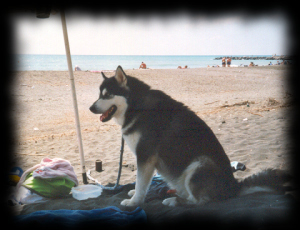 Am Strand in der Toscana